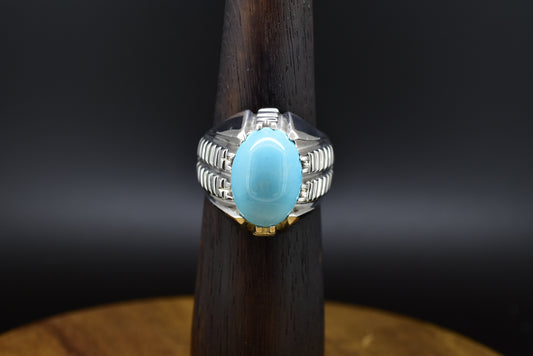 Copy of Persian Turqouise (Neighbour Firoooza) Men Ring